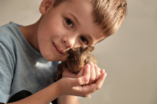 Egy boldog, mosolygó kisfiú portréja, amint barna tengerimalacot ölelget. Imádnivaló kisgyerek kisállat játékkal. Közelkép aranyos tengerimalac. - Fotó, kép