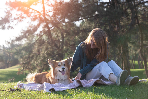 beautiful corgi dog and girl on the lawn in the par - Φωτογραφία, εικόνα