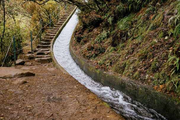 A flowing straight river in a forest with stairs in Madeira, Portugal - Фото, изображение
