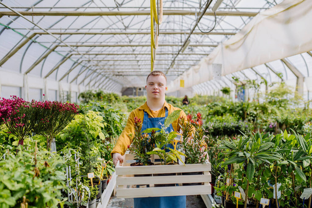 A young man with Down syndrome working in garden centre, carrying crate with plants. - Foto, imagen
