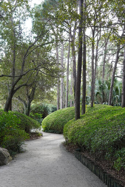 A Zen Garden with bushes - Fotó, kép