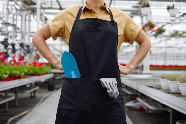 Female florist in a black apron with trowel and garden gloves in pockets stands in a greenhouse holding her hands on her belt - Foto, afbeelding