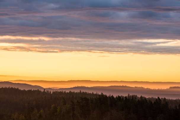 Desde una mañana con vista sobre los horizontes del bosque - Foto, Imagen