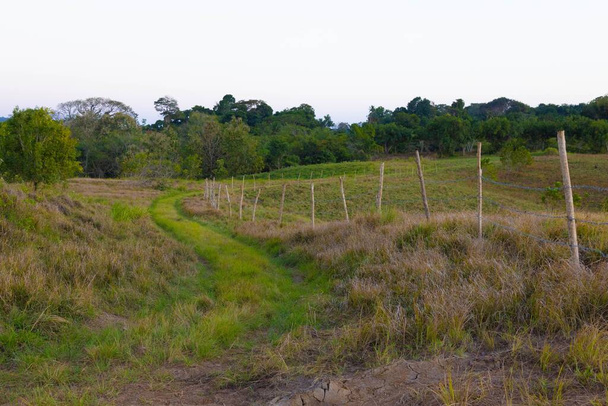 A beautiful shot of lush green pasture with fence made of posts and wire, and trees in background - Photo, Image