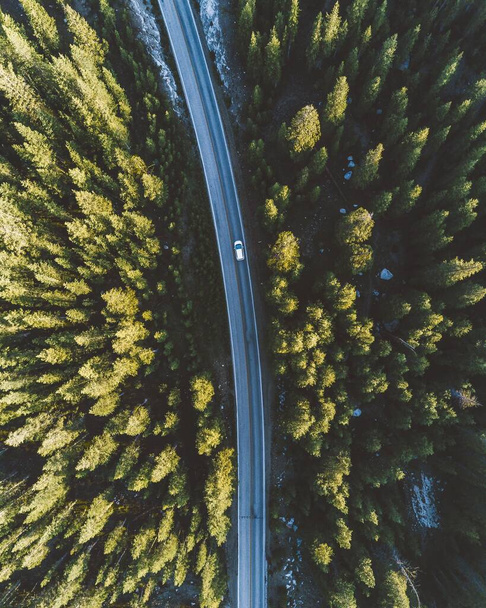 A vertical drone shot of a car driving on a countryside road surrounded by trees - Фото, изображение