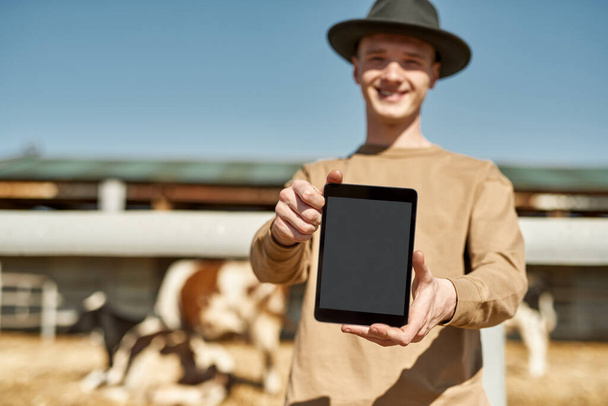 Selective focus of digital tablet in hands of smiling male farmer near blurred milk cows in paddock on background on farm. Young caucasian guy. Modern countryside lifestyle. Agriculture. Sunny day - Foto, immagini