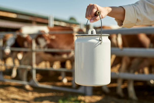Selective focus of milk can in hand of cropped female farmer. Blurred herd of cattle in paddock on background. Concept of modern countryside lifestyle. Agriculture and farming. Sunny day - Fotoğraf, Görsel