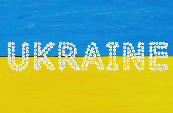 Word UKRAINE made from camomile flowers on a wooden background painted the colors of the national flag of Ukraine. Floral patriotic concept. - Фото, изображение