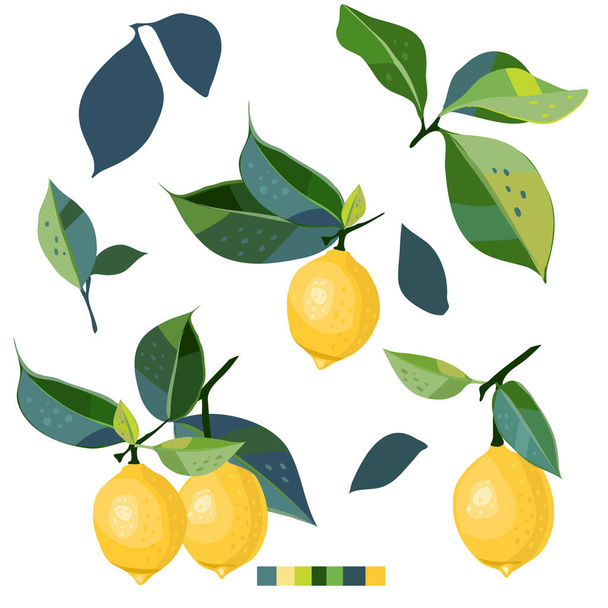 Набор с нарисованными вручную лимонами и листьями. Создай свой собственный дизайн. Клип с цитрусовыми. Пакет фруктов. Векторная иллюстрация. - Вектор,изображение