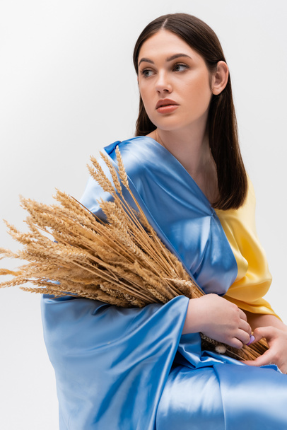 brunette young ukrainian woman covered with blue and yellow flag holding wheat spikelets isolated on grey - Valokuva, kuva
