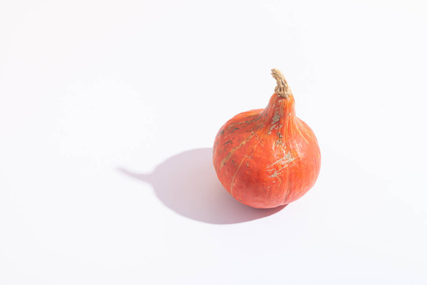 Orange mini pumpkin with hard shadow on white background. - Photo, Image