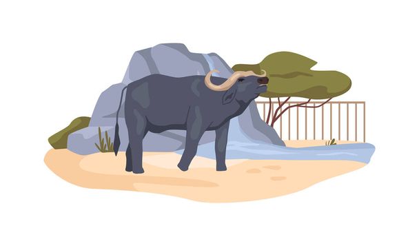 Buffalo in bioreserve, African bovine animal in menagerie, ox in zoo. Animal conservation park with habitat and ecosystem. Zoological garden and nature reserve. Flat cartoon, vector illustration - Vecteur, image