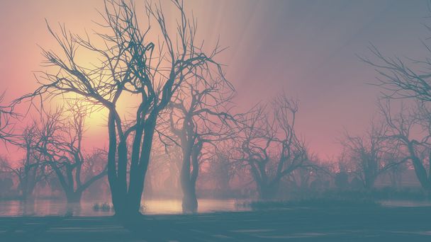 Forêt d'arbres morts mystiques au lever du soleil. Vue basse perspective
. - Photo, image