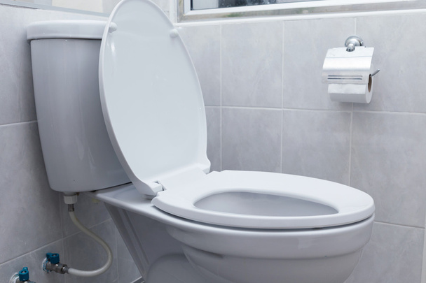 WC blanc à chasse d'eau dans la salle de bain moderne intérieur - Photo, image