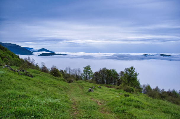 sentier de montagne entouré de verdure au-dessus des nuages - Photo, image