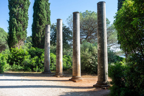 руины древних колонн, окруженных природой - Фото, изображение
