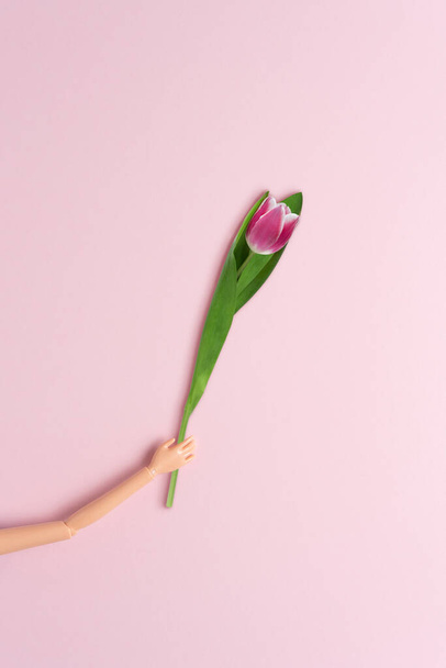 Hand of a doll with tulip flower on a pink background. Love minimal concept. - Foto, Bild