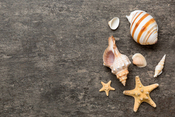 Summer time concept Flat lay composition with beautiful starfish and sea shells on colored table, top view with copy space for text. - Φωτογραφία, εικόνα