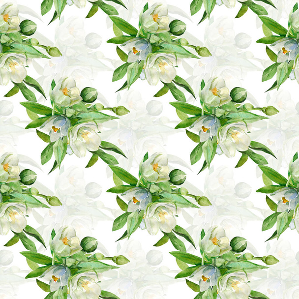 Seamless pattern jasmines.Illustration on white and colored background. - Фото, изображение
