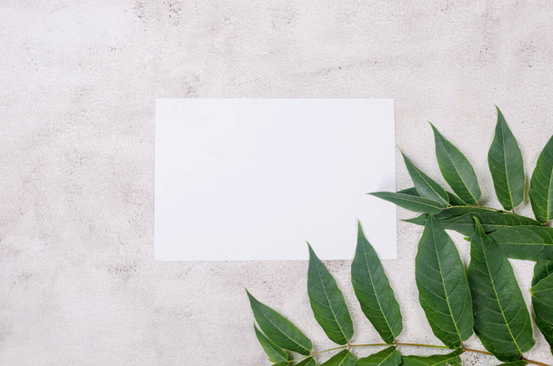 Blank white business cards mockups with grassy foliage on textured background. Elegant modern template for branding identity. Minimal nature background for summer concept. Flat lay, top view. - Photo, image