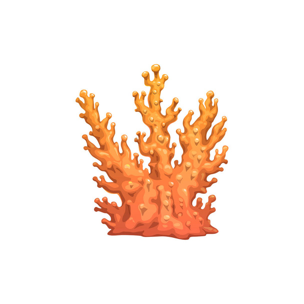 Cartoon coral branch, underwater vector plant with pimples on orange branches. Sea reef object, undersea tropical water life, ocean coral marine flora isolated design element - Vector, afbeelding
