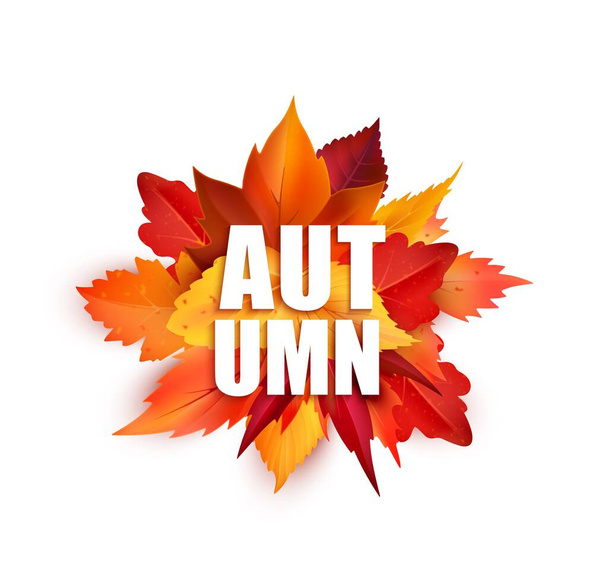 Realistic autumnal leaves, isolated vector round bunch of fallen maple, oak or birch tree foliage of red and yellow colors. Autumnal element for back to school, seasonal sale or thanksgiving holidays - Διάνυσμα, εικόνα
