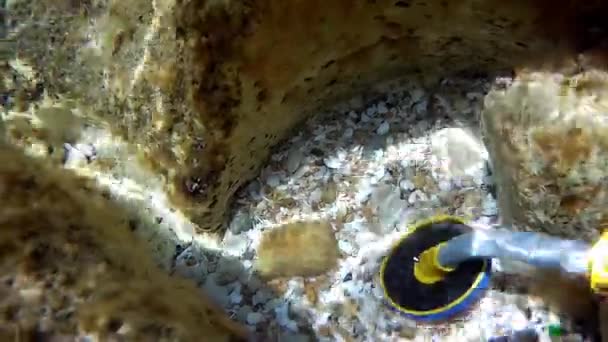 Underwater metal detector. Underwater search. Caspian Sea. Month of June. Under water. 17 June 2022 year. - Materiaali, video