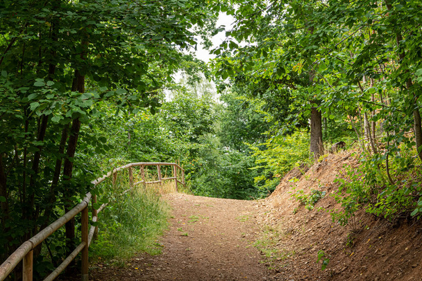 an idyllic forest path with railings in summer - Foto, imagen
