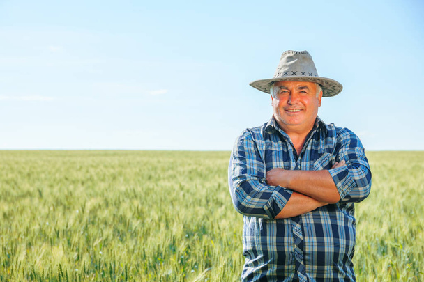 Cheerful elderly male farmer in hat looking at camera with crossed arms while standing in grassy field on summer day - Foto, Bild