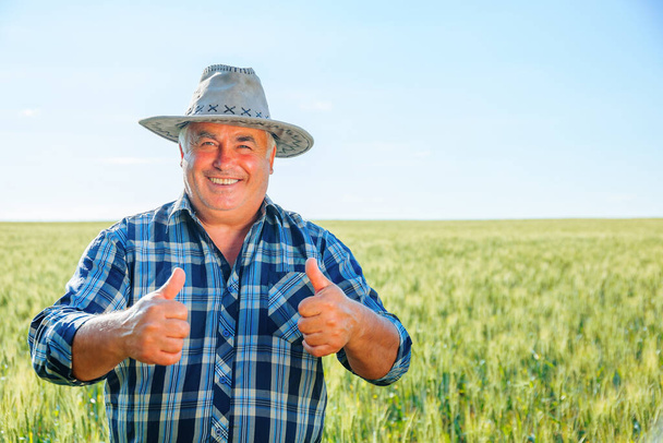 Positive elderly male worker looking at camera with thumbs up while standing in agricultural field with green plants in countryside. Cheerful farmer showing thumbs up in countryside - Fotografie, Obrázek