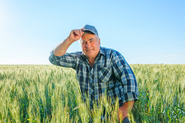 Mature male farmer in cap looking at camera while hunkering down in agricultural plantation with green plants in rural area - Φωτογραφία, εικόνα