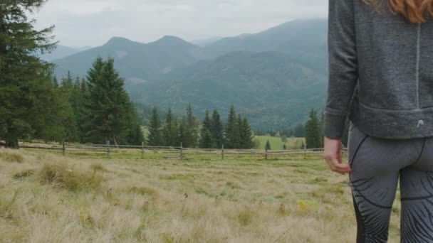 Молодая длинноволосая девушка проходит через поляну, глядя на горы впереди. Зеленый лес, широкая стрельба, вид сзади, днем, облачно. Карпаты, Украина. Высококачественные 4k кадры - Кадры, видео