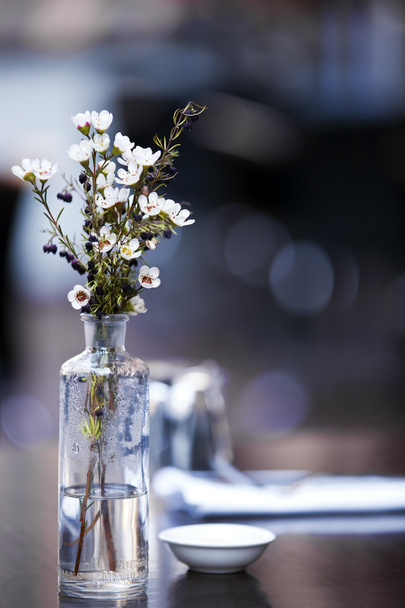 Квіти на кафе таблиці - Фото, зображення