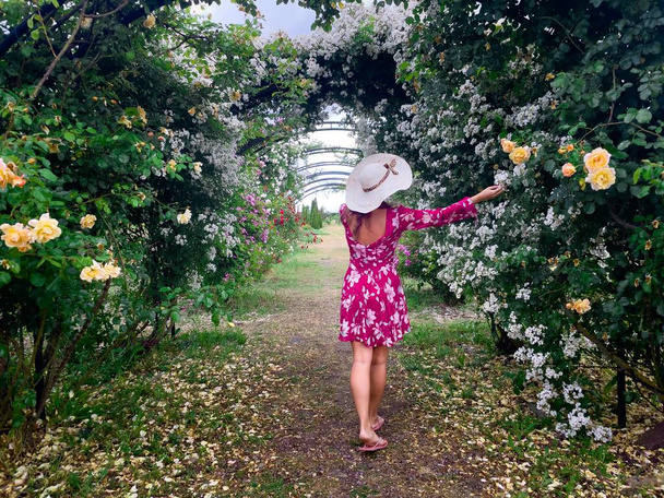 Young woman wearing dress and hat in a garden full of colorful roses - Foto, immagini
