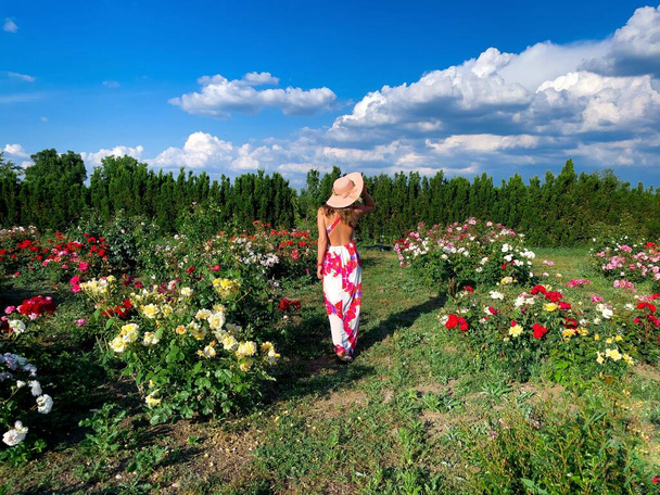 Young woman wearing dress and hat in a garden full of colorful roses - Foto, immagini