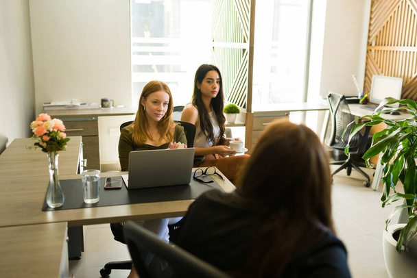 Szakmai női munkatársak együtt dolgoznak egy új üzleti projekten egy gyönyörű irodában  - Fotó, kép