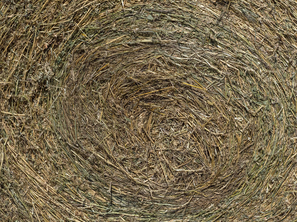 harvested hay ball in the field in summer season - Zdjęcie, obraz