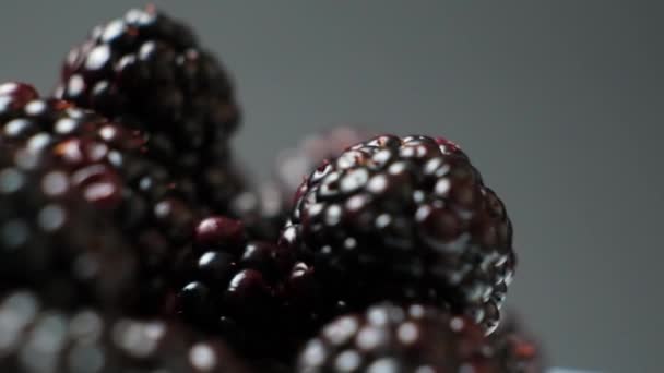 Ripe juicy blackberries swirling on a black background, slow motion - Metraje, vídeo