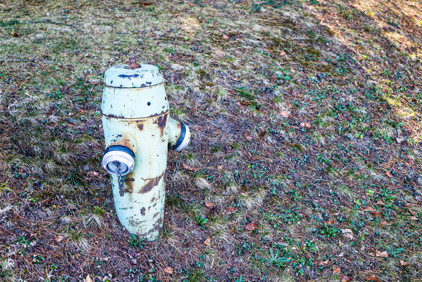 An Old fire brigade hydrant in the forest - Foto, Bild