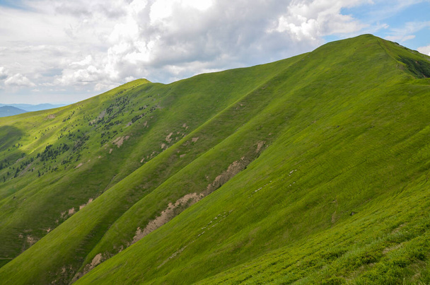 The steep slope of a green mountain ridge with lush grass against cloudy sky. Carpathian Mountains, Ukraine - 写真・画像