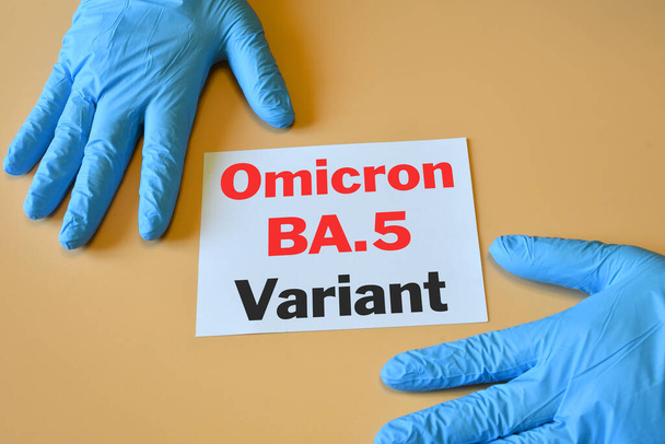 Le mani del medico in guanti blu con carta bianca e il testo "Omicron BA.5 Variante". Concetto per la nuova variante di SARS-CoV-2 Omicron BA.5 Covid-19 Nuove varianti. - Foto, immagini