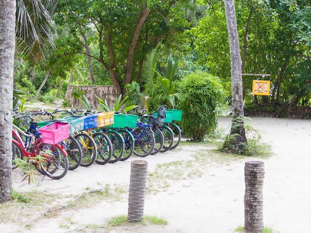 bicycle parking in a tropical park - Valokuva, kuva