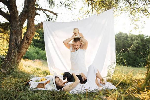 Happy young woman smiling sincerely while lying on blanket with dog while her loving husband carrying little daughter on shoulders. Beautiful caucasian family of three having fun outdoors. - Valokuva, kuva