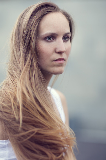 Скандинавські жінка модель з довге каштанове волосся - Фото, зображення