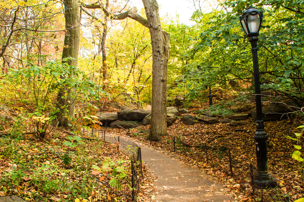 ein Fußweg im Central Park  - Foto, Bild
