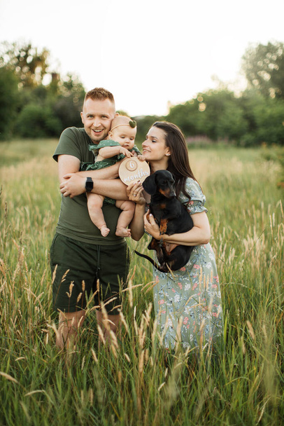 Beautiful caucasian man and woman standing in embrace with their cute little daughter and dog celebrating six months since the birth of a child on beautiful summer meadow. Family time on fresh air. - Fotografie, Obrázek