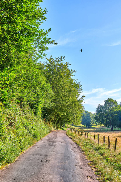 A series of photos of countryside, farmland and forest close to Lyon, France. - 写真・画像