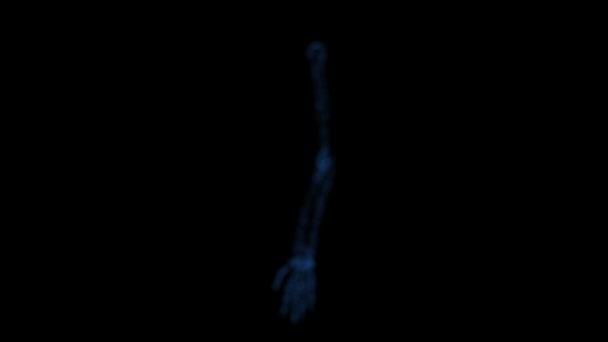 Röntgenle taranmış bir insan kolunun dijital görüntüsü.. - Video, Çekim