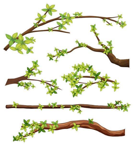 Set van verschillende boomtakken geïsoleerde illustratie - Vector, afbeelding