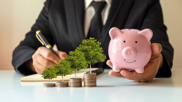 Muestre su desarrollo financiero y crecimiento de negocios con un árbol creciendo en una moneda y una alcancía en manos de un hombre de negocios. - Foto, Imagen